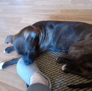 Meet your Posher, Ellen